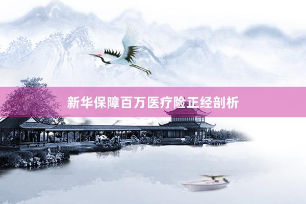 新华保障百万医疗险正经剖析