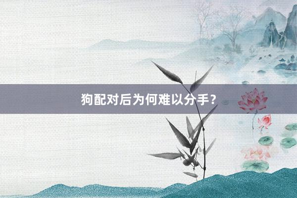 狗配对后为何难以分手?